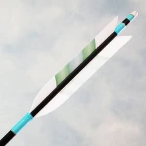 1913黒（6つ矢）七面鳥「美し矢-63-ツートン・緑＆水色 」｜有限会社